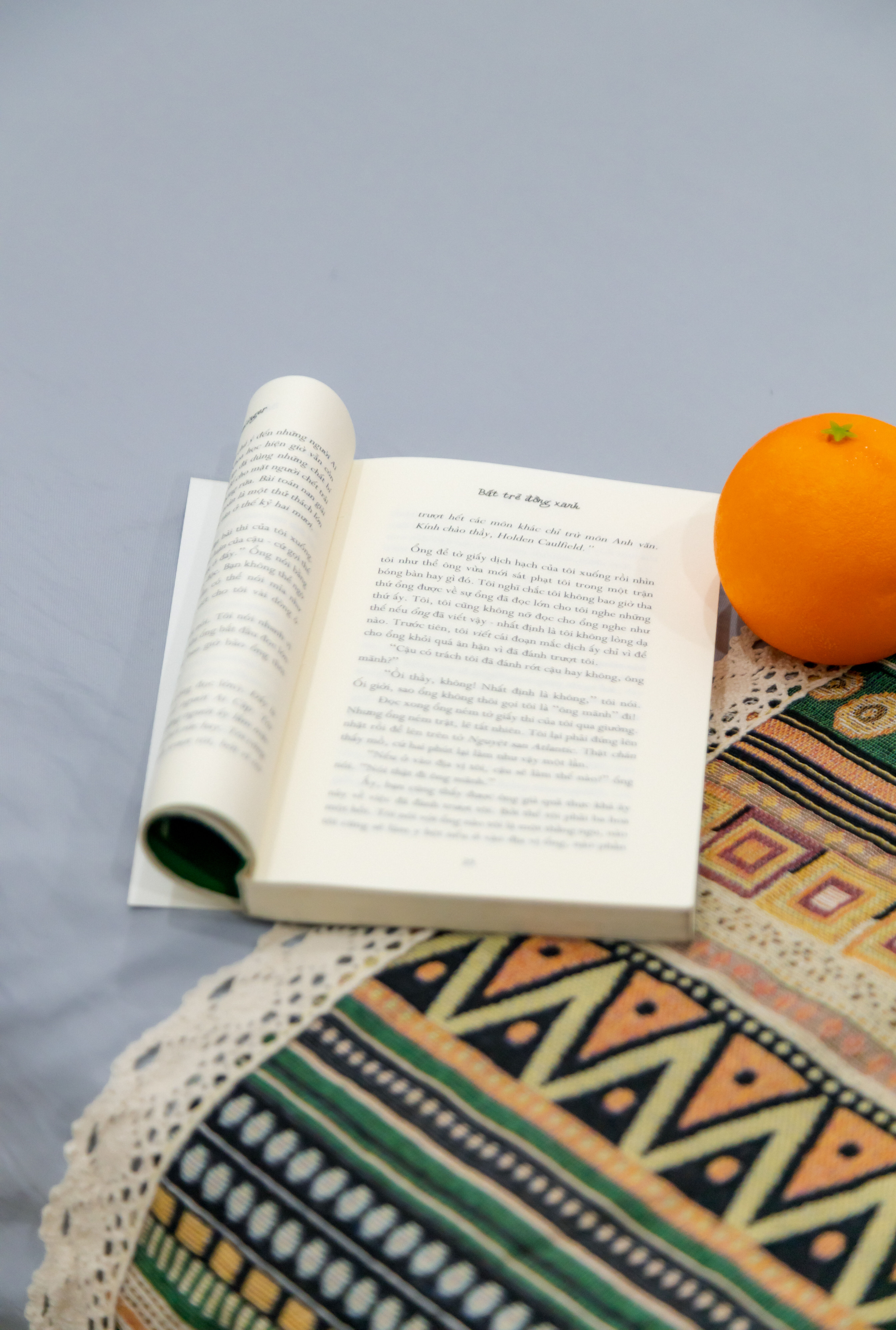 Apartment Basic - Hình 10